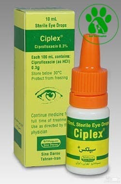 قطره چشمی سیپروفلوکساسین (سیپلکس) Ciprofloxacin — تصویر ۲