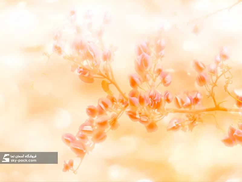 آسمان مجازی طرح گل — تصویر ۱۱