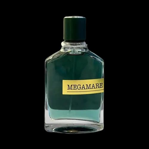 عطر و ادکلن اورتو پاریسی مگاماره (مگامار) جسیکا تواین (تویین) ادو پرفیوم 100 میلی لیتر شرکتی | Jessica Twain Megamare 100ml EDP — تصویر ۳