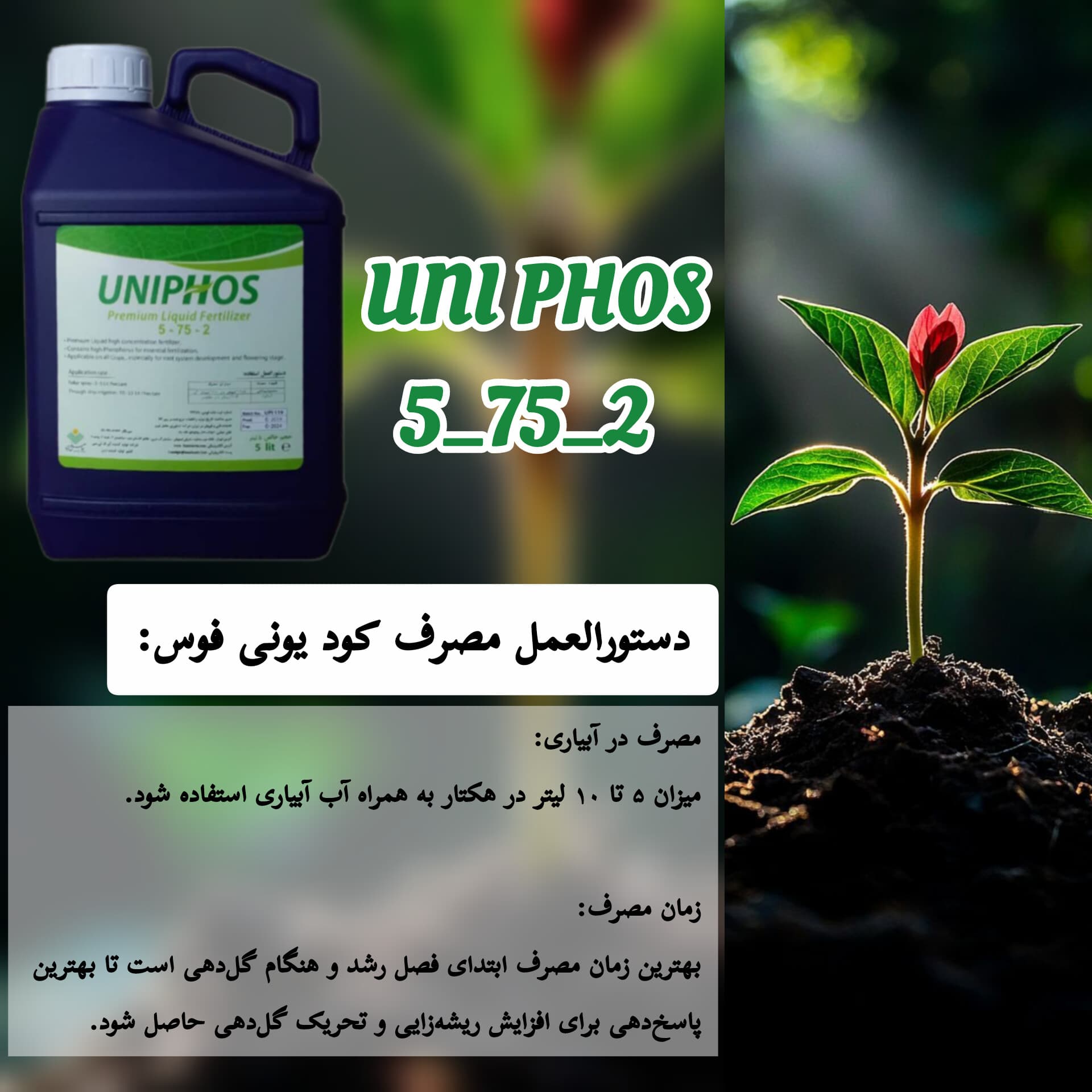 کود ریشه زایی یونی فوس IFTCاردن ۵ لیتری — تصویر ۲