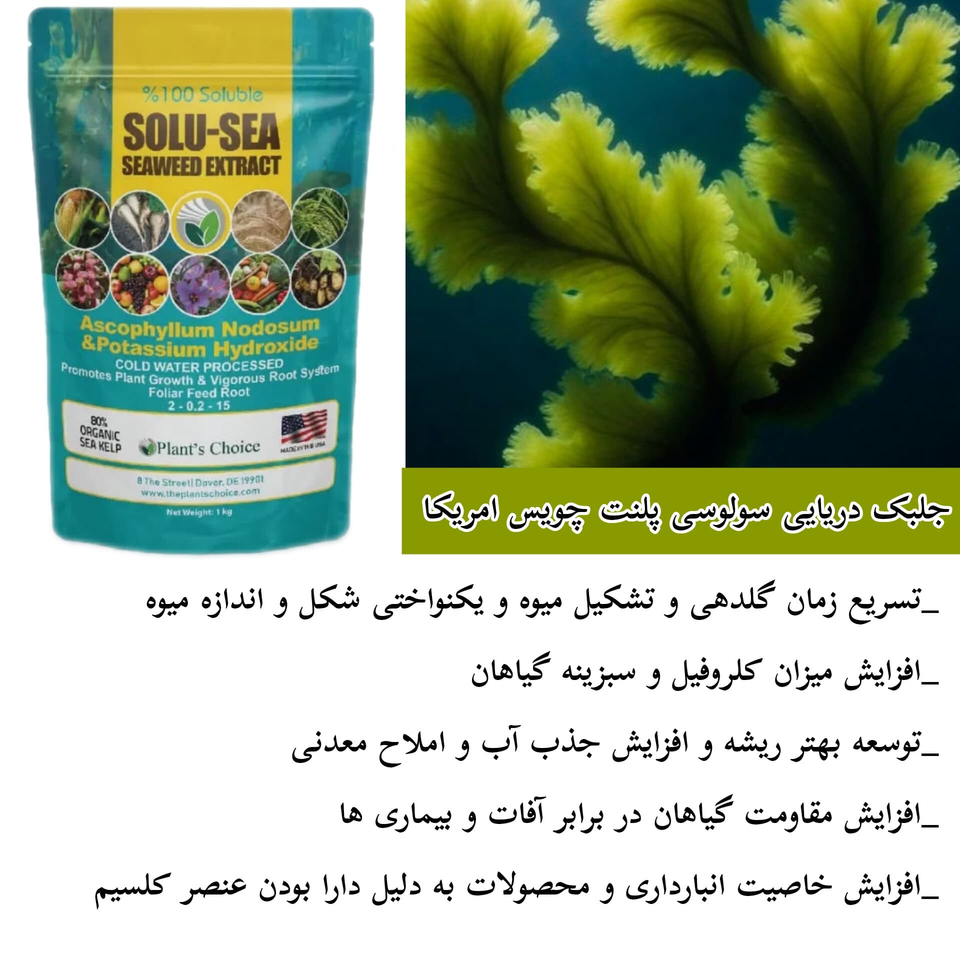 کود جلبک دریایی سولوسی پلنت گرومور آمریکا ۱ کیلویی — تصویر ۷