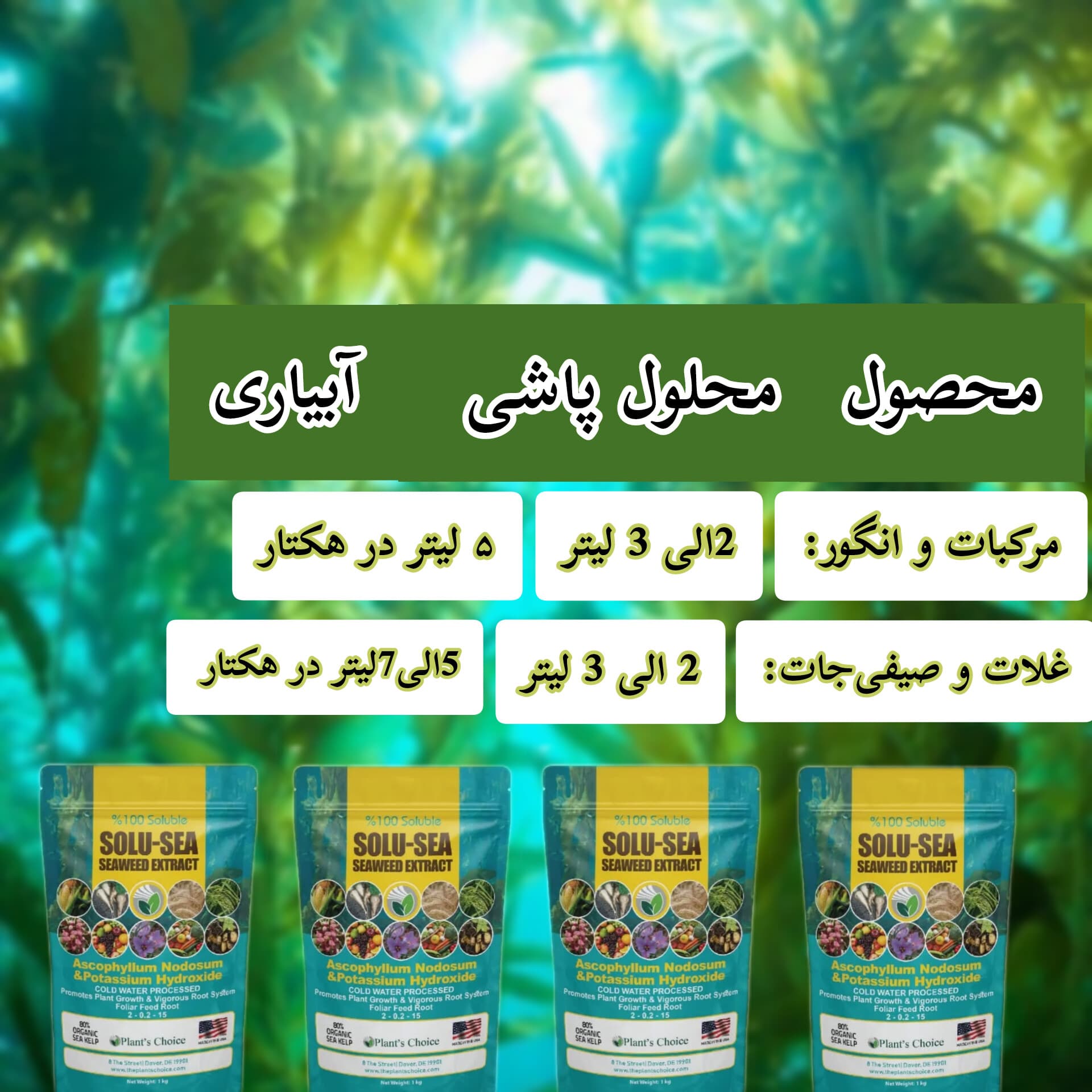 کود جلبک دریایی سولوسی پلنت گرومور آمریکا ۱ کیلویی — تصویر ۹