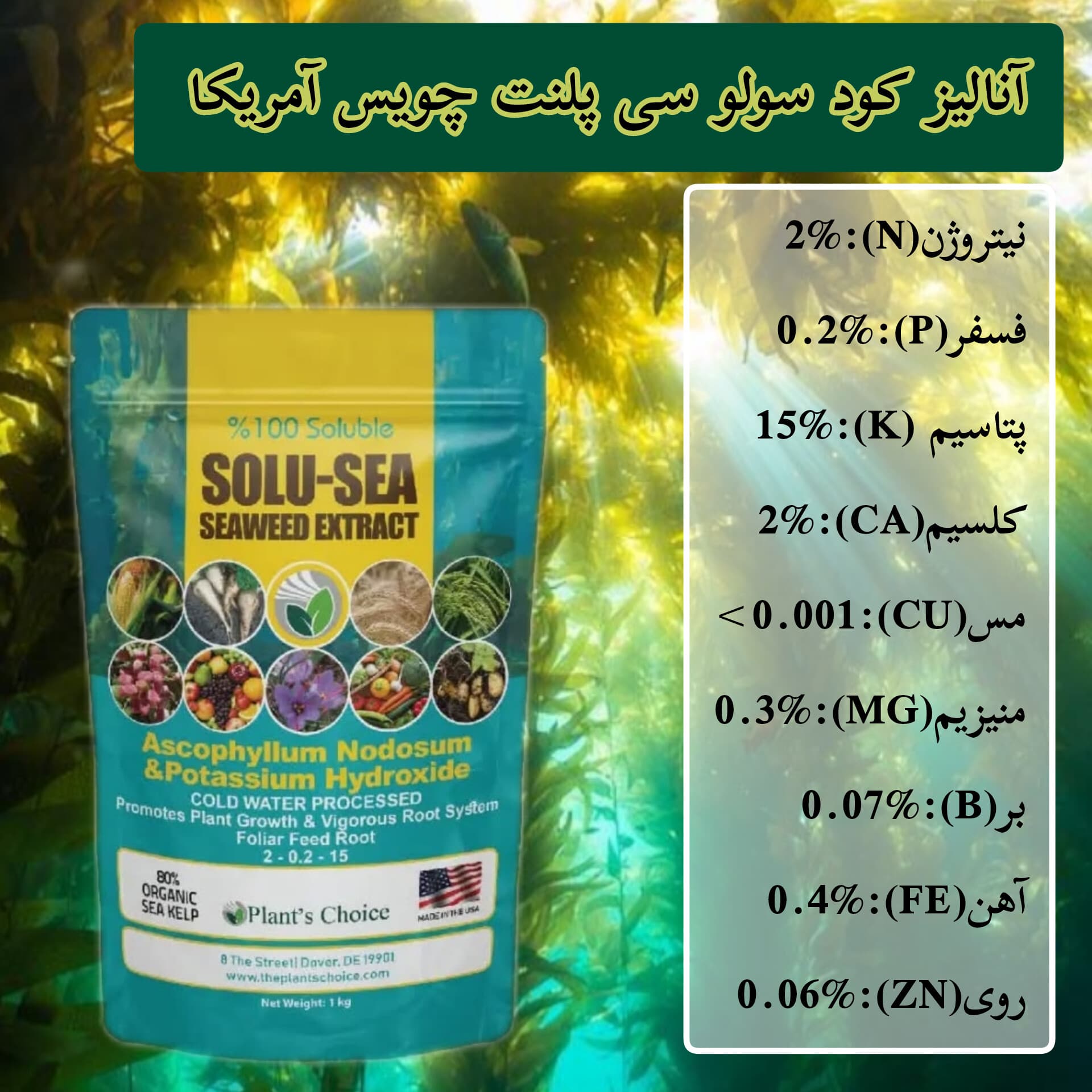 کود جلبک دریایی سولوسی پلنت گرومور آمریکا ۱ کیلویی — تصویر ۳
