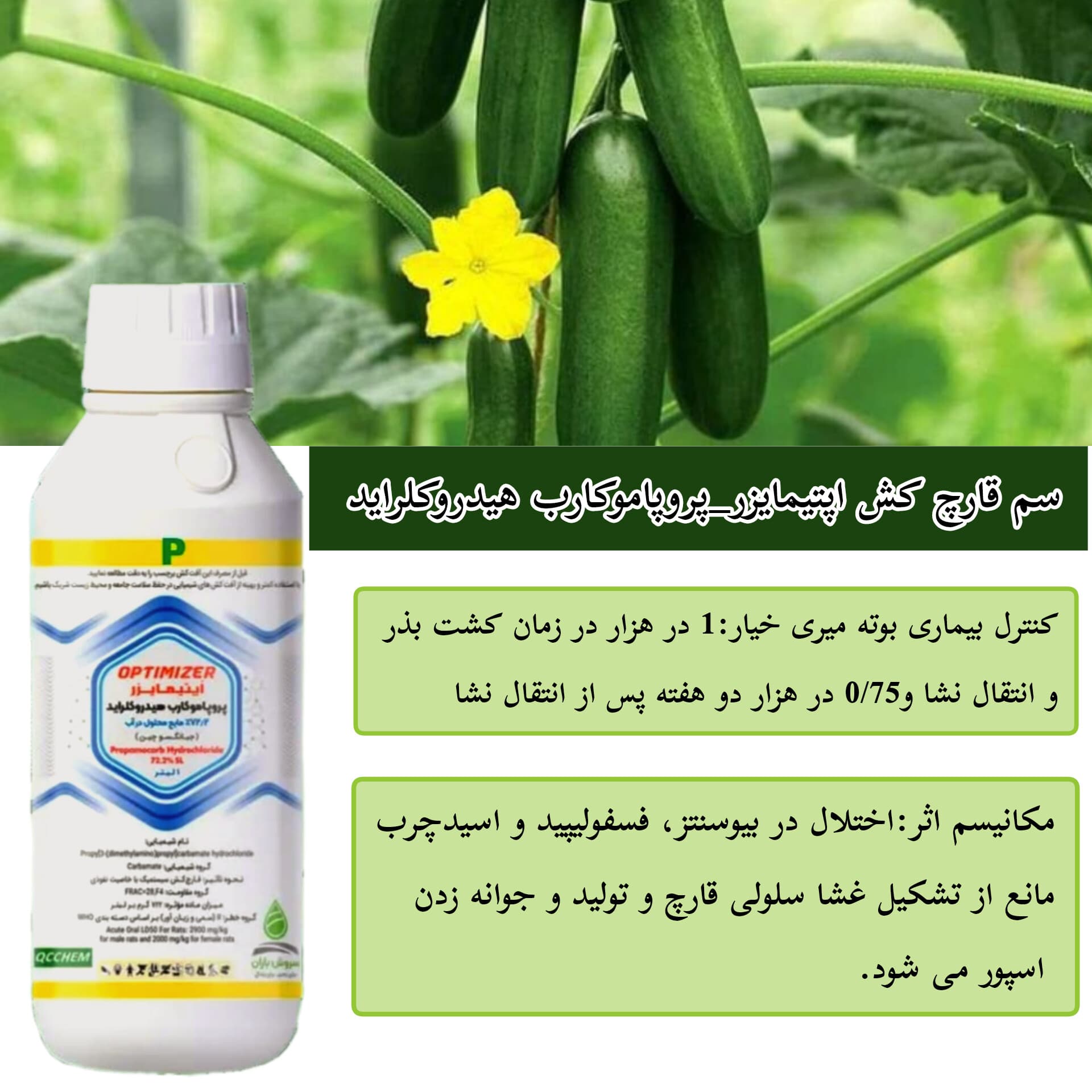 سم قارچ‌کش_ اپتیمایزر_ پروپاموکارب هیدرو کلراید ۱ لیتری — تصویر ۴