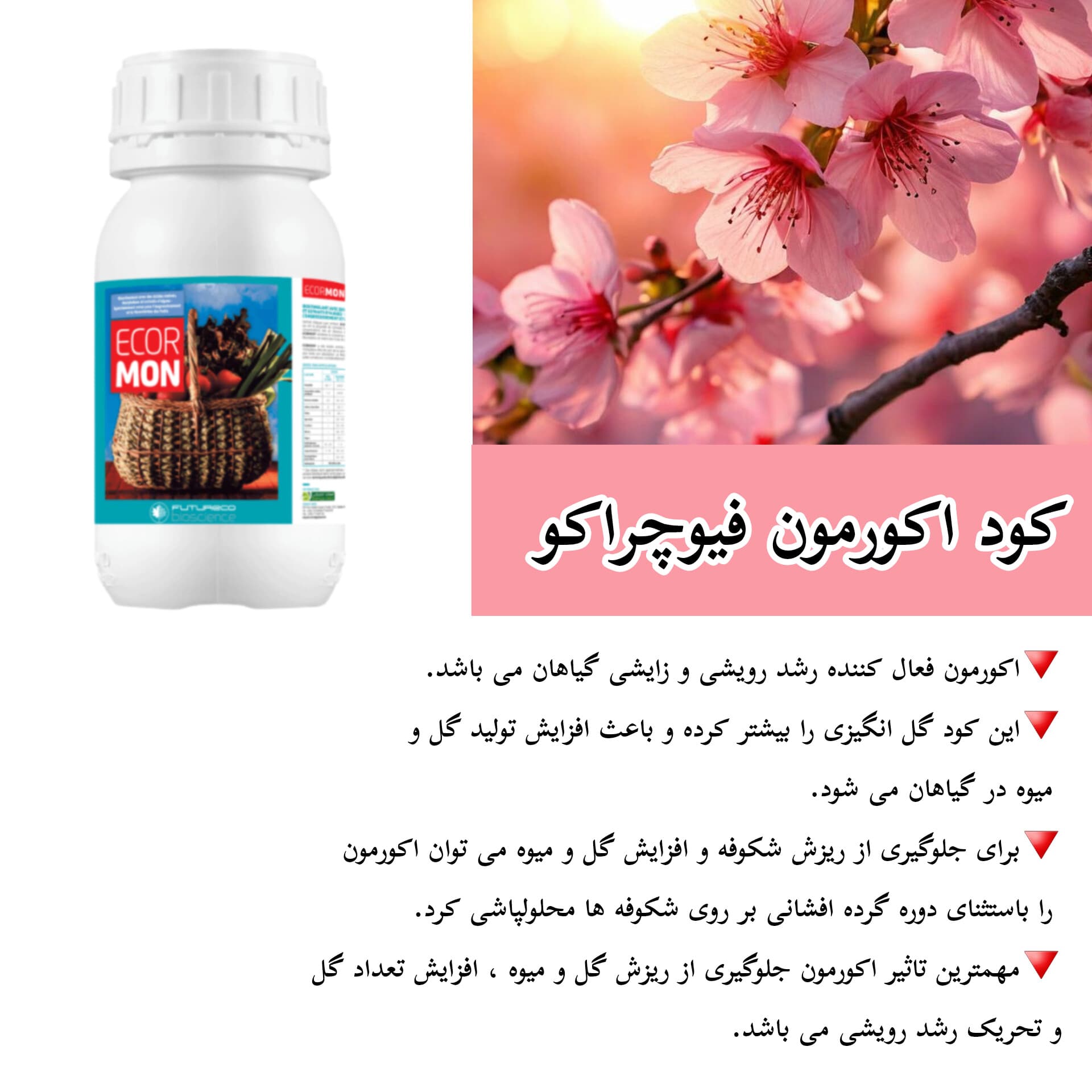 کود اکورمون فیوچراکو اسپانیا نیم لیتری — تصویر ۸