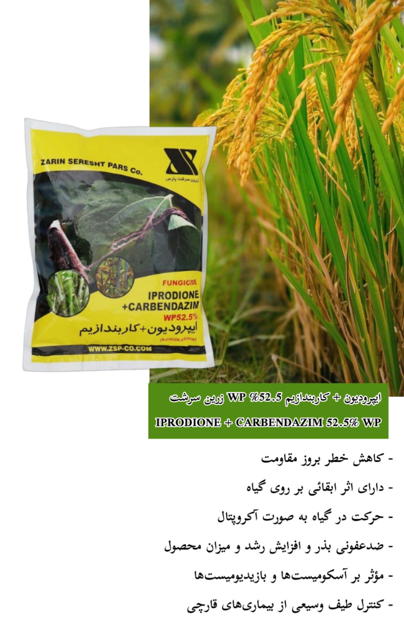 ایپرودیون + کاربندازیم 52.5% WP شرکت زرین سرشت نیم کیلوگرمی — تصویر ۶