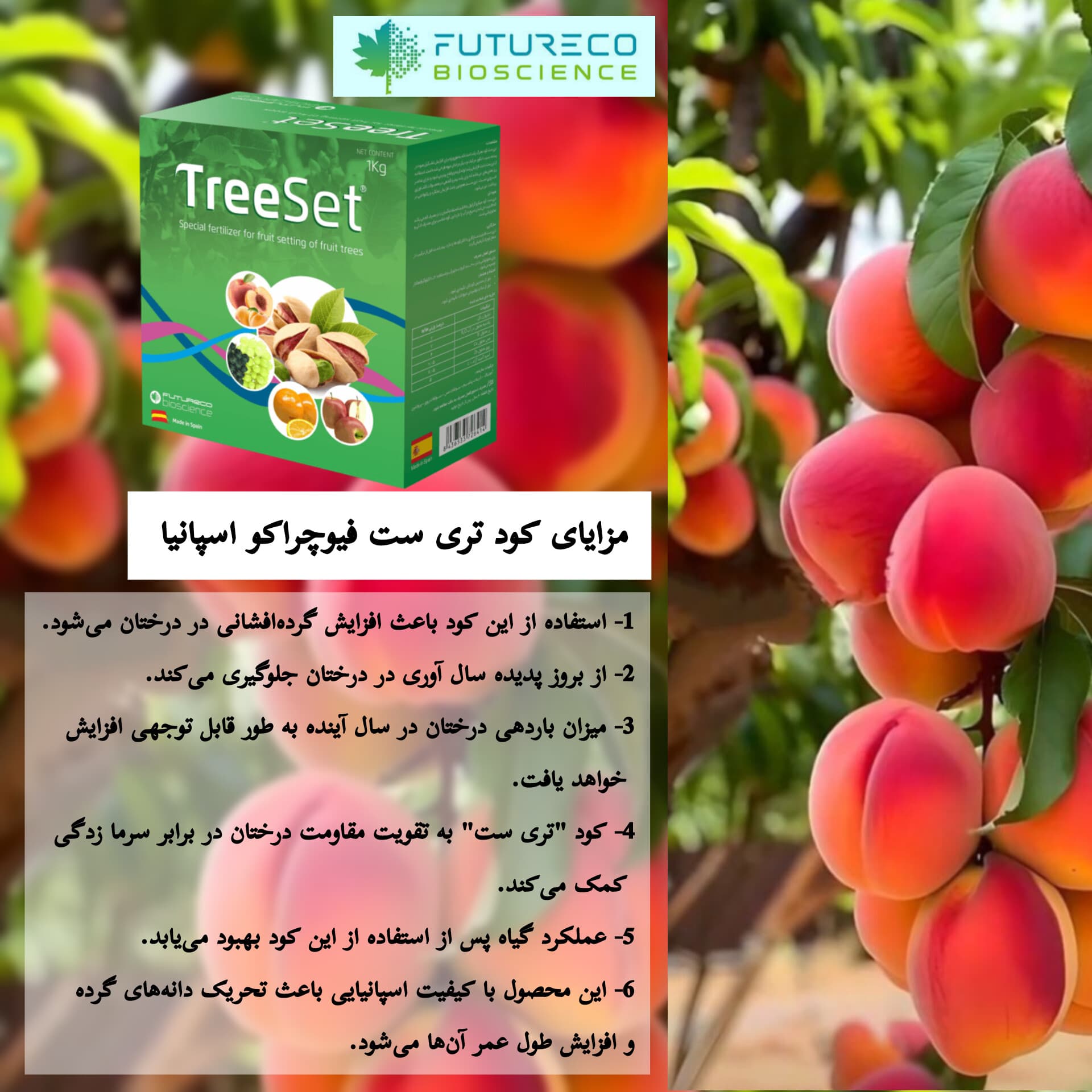 کود فروت ست تری ست فیوچراکو واردات فروغ دشت ۱ کیلویی — تصویر ۶