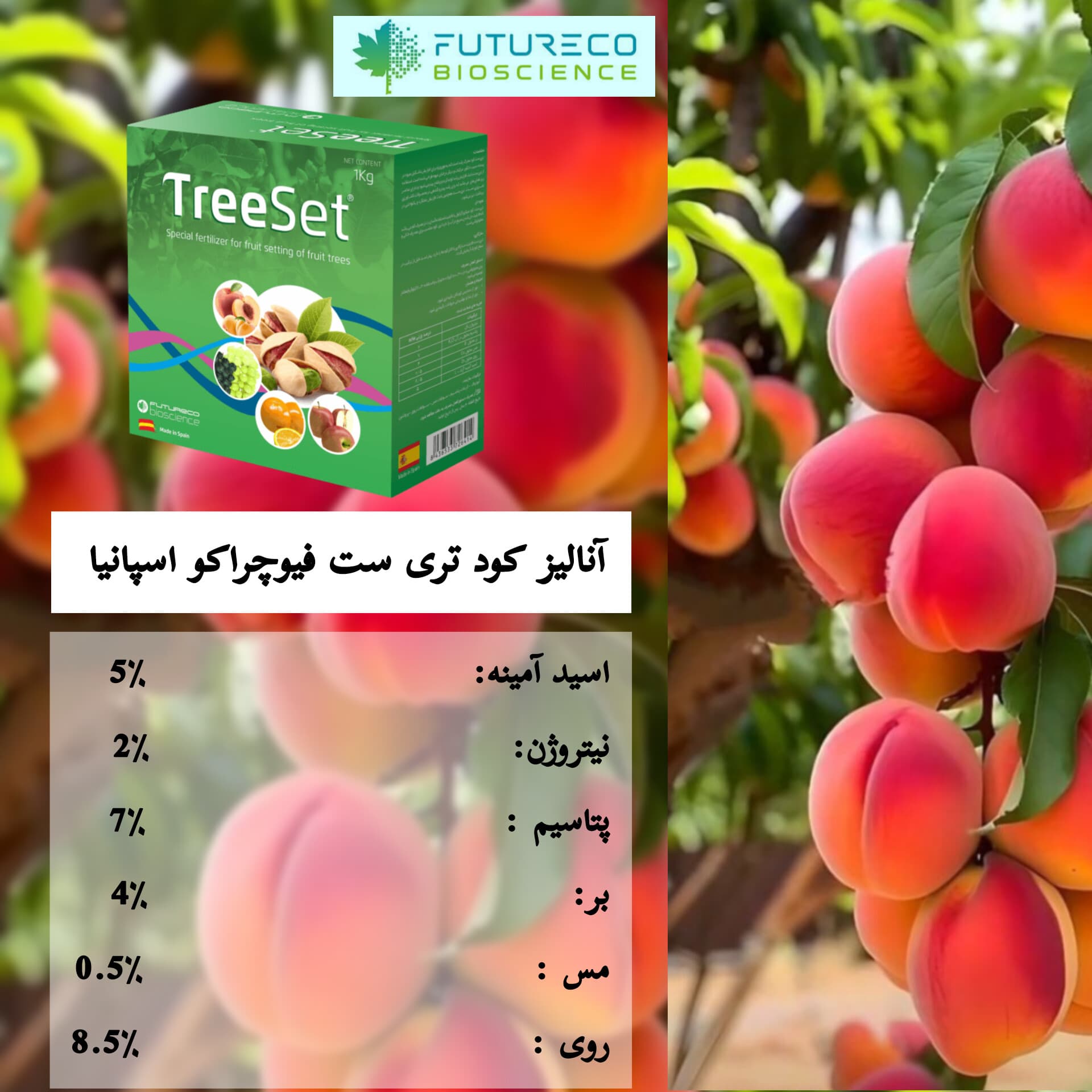 کود فروت ست تری ست فیوچراکو واردات فروغ دشت ۱ کیلویی — تصویر ۳