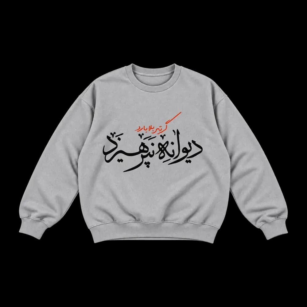 پلیور گر تیر بلا بارد دیوانه نپرهیزد — تصویر ۲