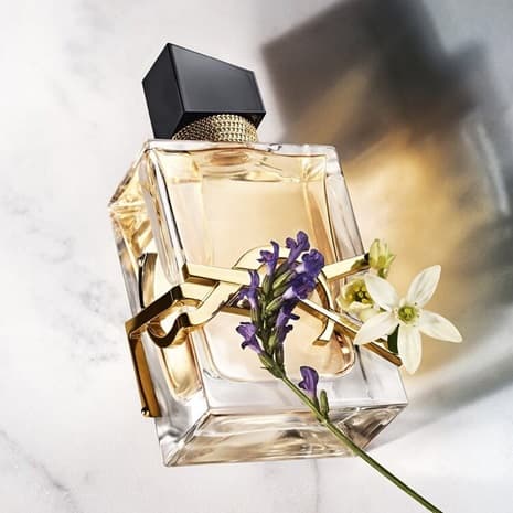 ادو پرفیوم ایو سنت لورانت لیبر | Yves Saint Laurent Libre — تصویر ۳