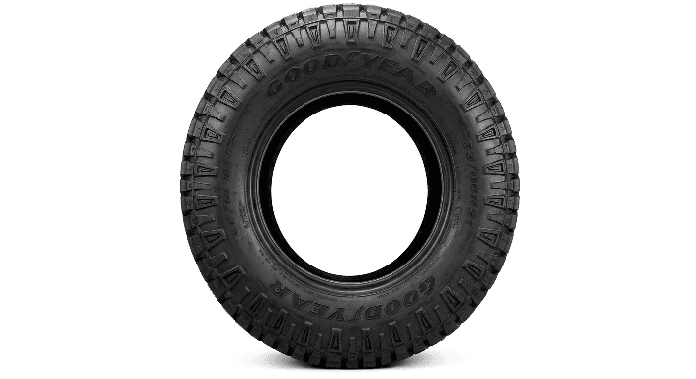 لاستیک گودیر (GOODYEAR) مدل 33/00R51 — تصویر ۲