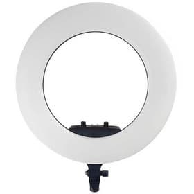 رینگ لایت 18 اینچ 96 وات هارمونی Harmony FE-480II