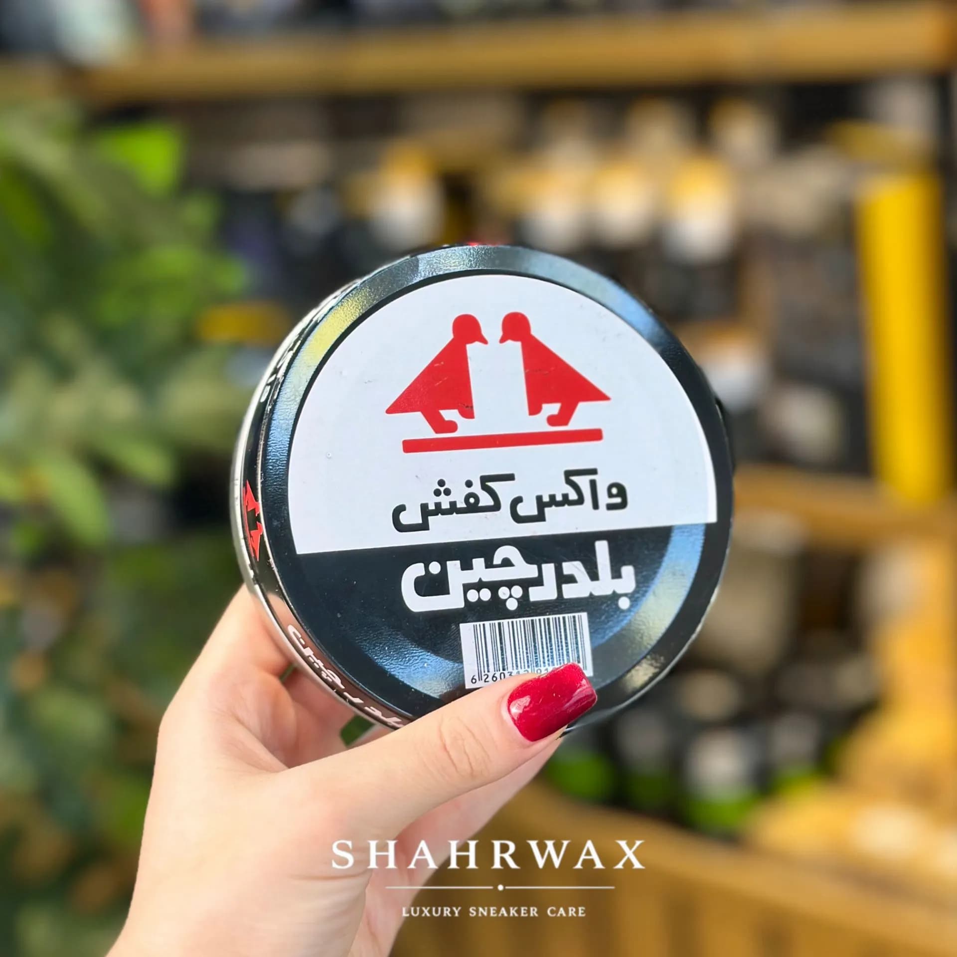 واکس کفش بلدرچین بزرگ — تصویر ۶