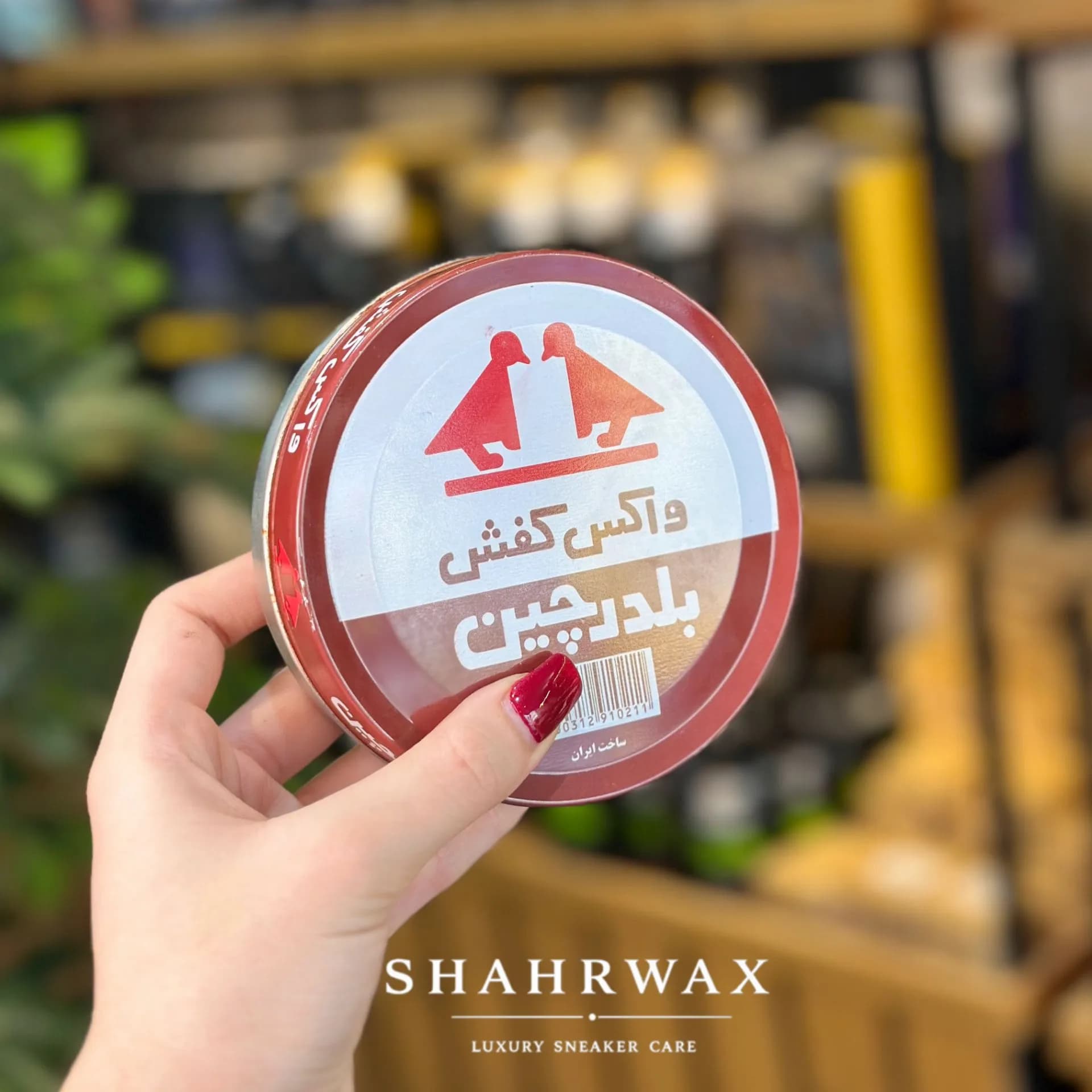 واکس کفش بلدرچین بزرگ — تصویر ۷