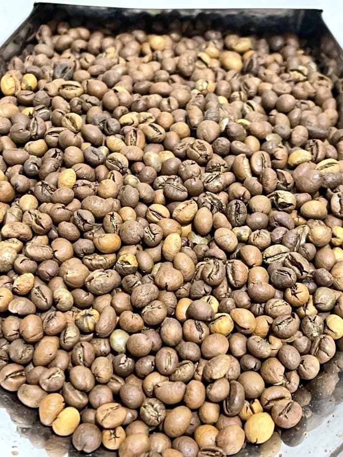 قهوه پی بی روبوستا (pb)