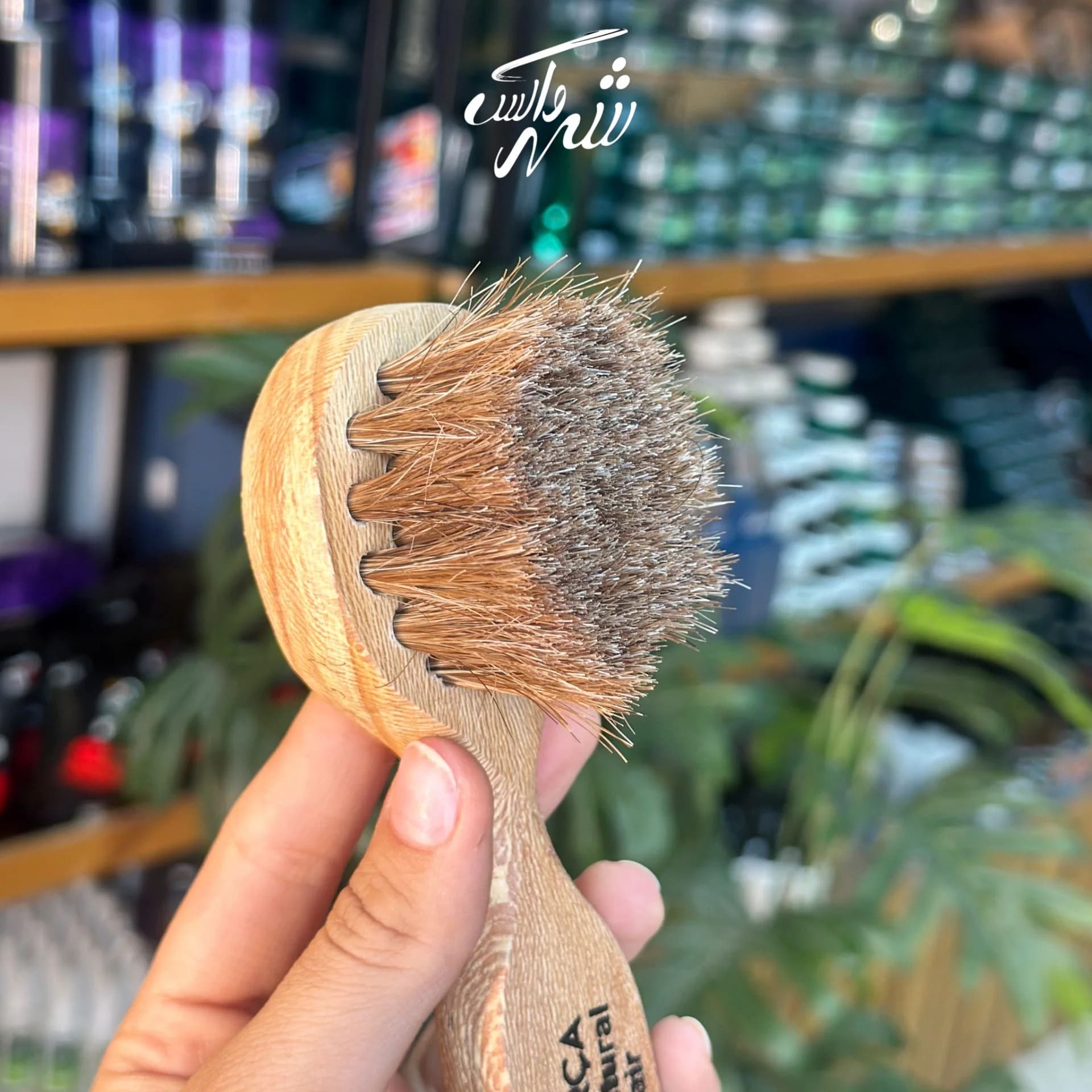 فرچه کفش ازمیر — تصویر ۶
