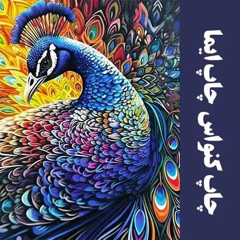 پلات رنگی کاغذ کنواس