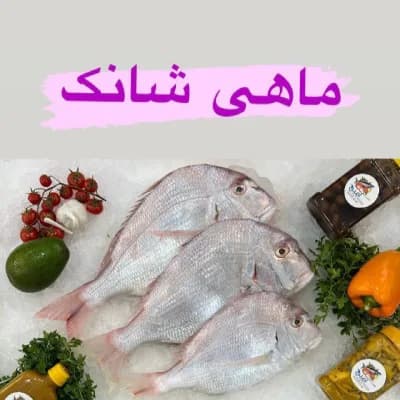 ماهی شانک درجه یک جنوب کیلویی - بازار آرمان