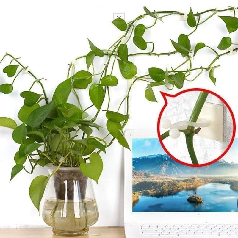 گیره نگهدارنده گل و سیم (بسته 10 عدد)
