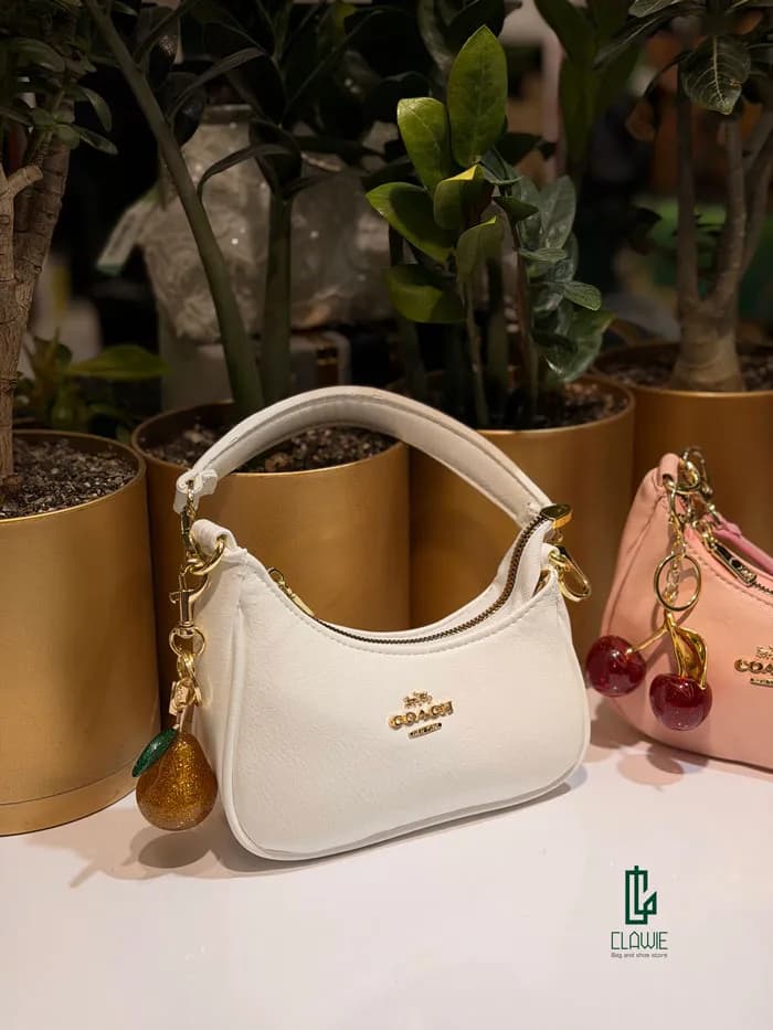کیف زنانه.دخترانه : coach پاسپورتی — تصویر ۱۰