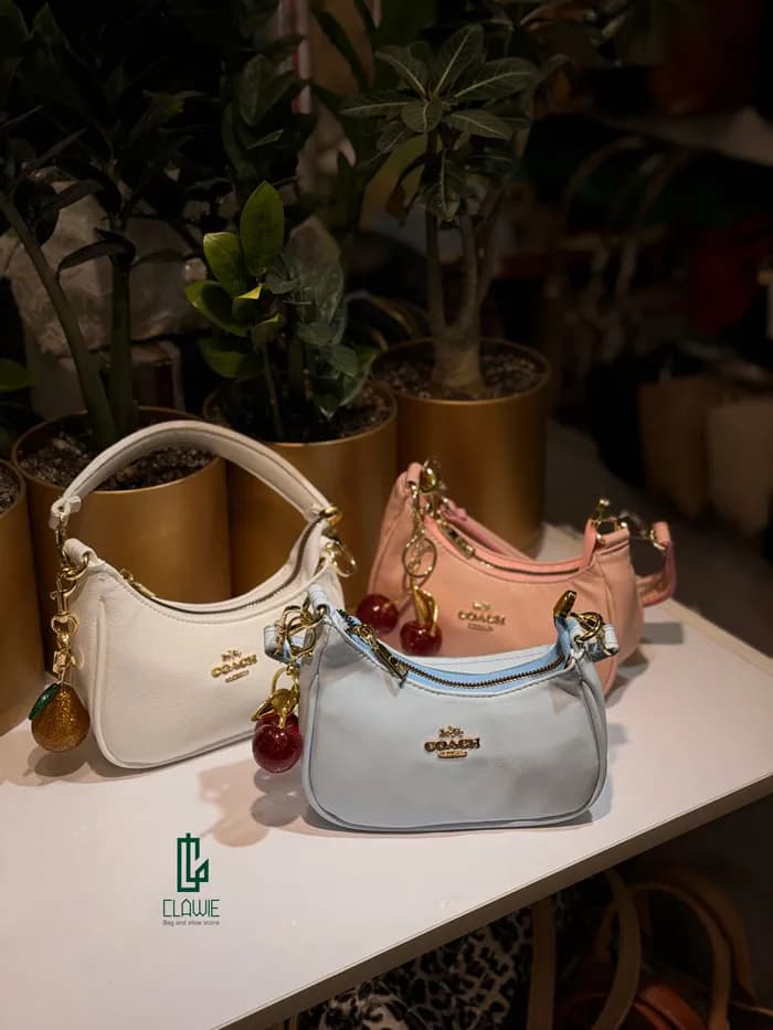 کیف زنانه.دخترانه : coach پاسپورتی — تصویر ۱۲