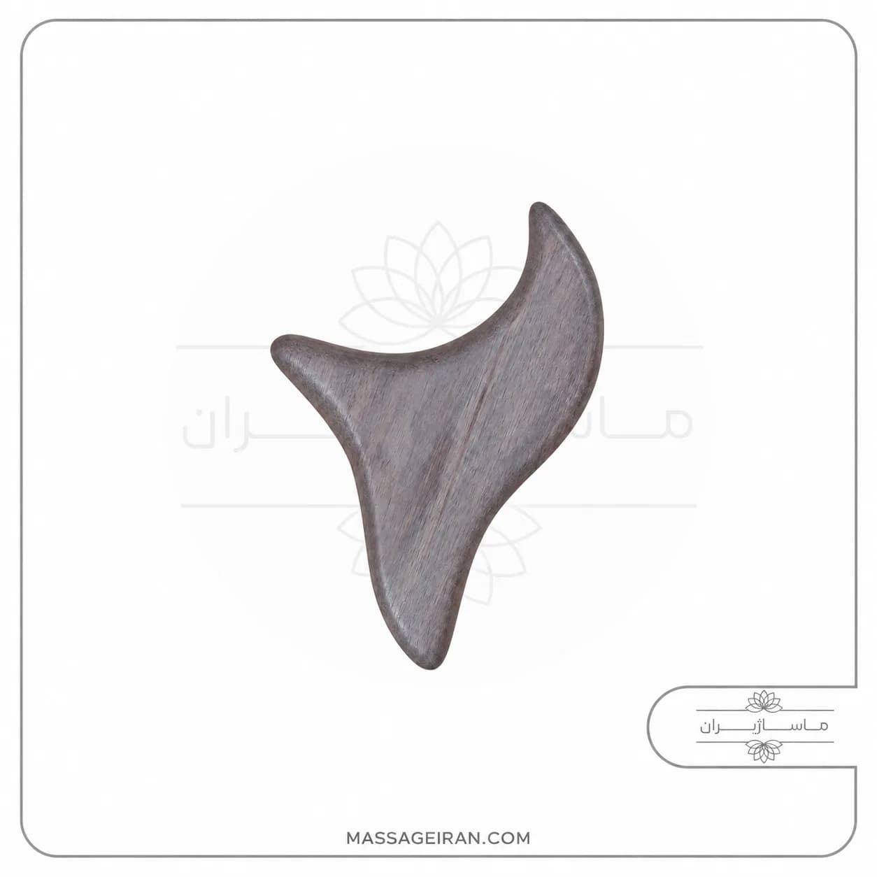 استیک دلفینی