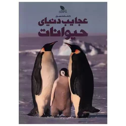 دانشنامه مصور عجایب دنیای حیوانات — تصویر ۸