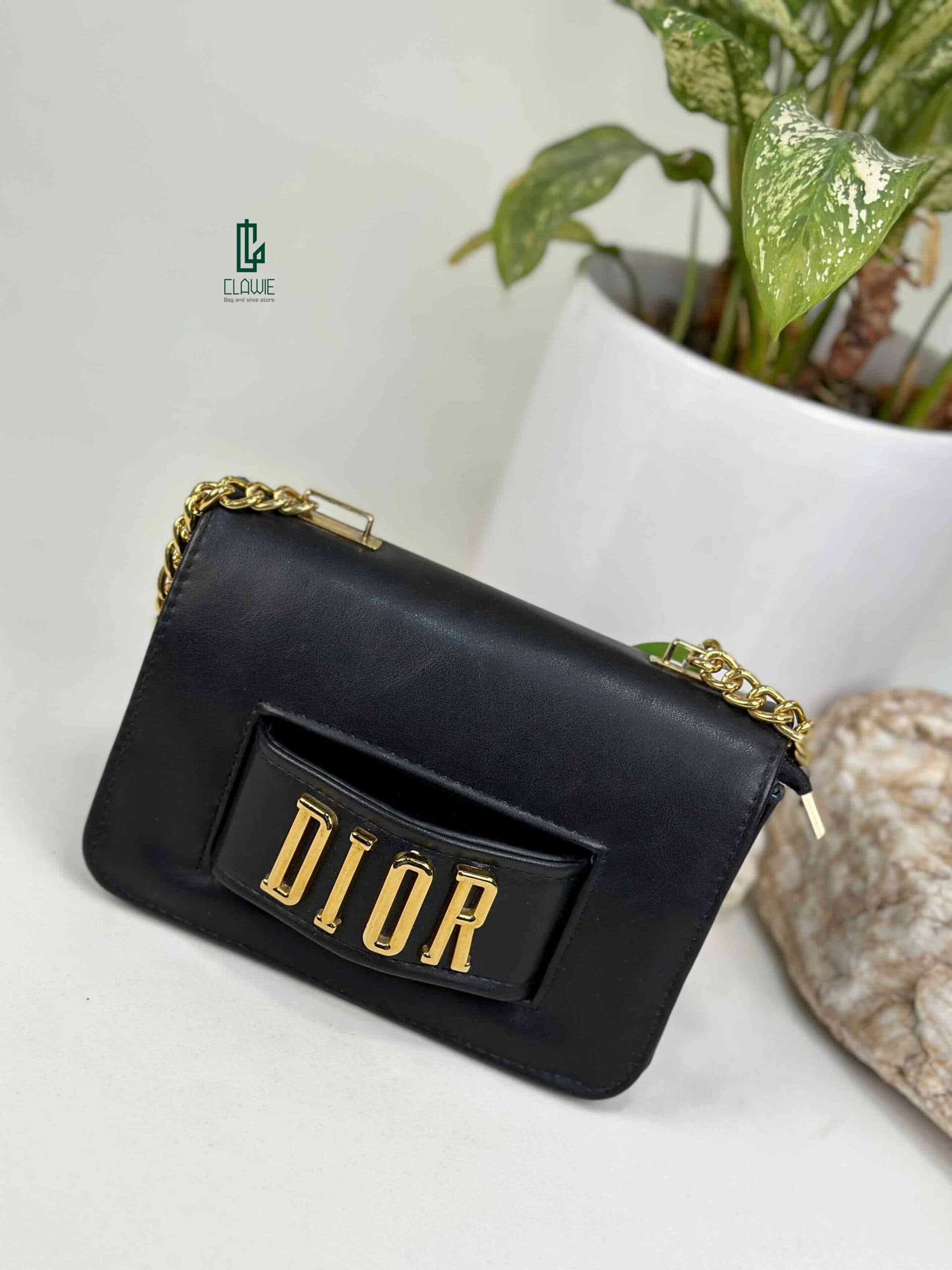 👝 کیف پاسپورتی : dior_11 — تصویر ۴