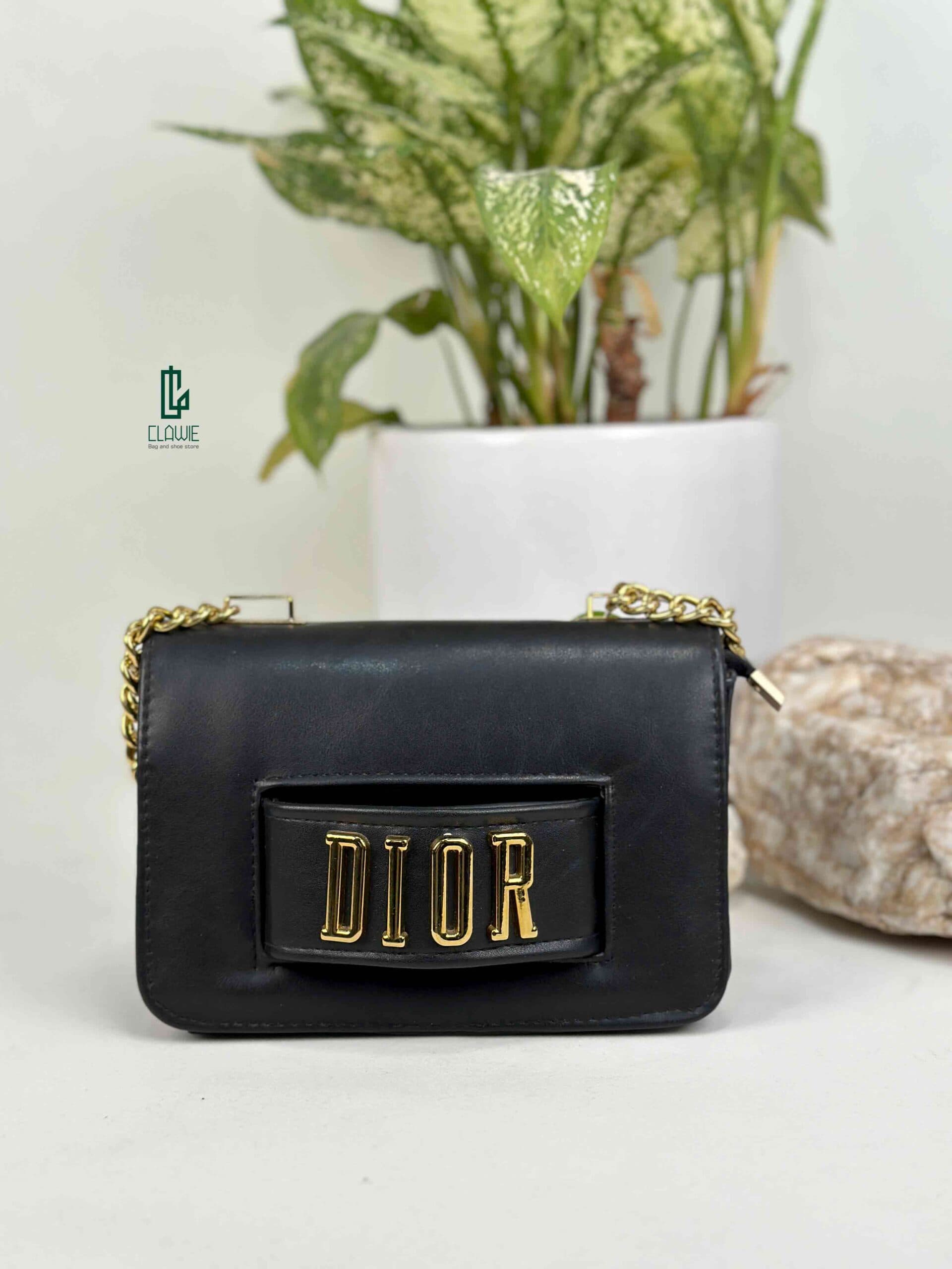 👝 کیف پاسپورتی : dior_11 — تصویر ۲