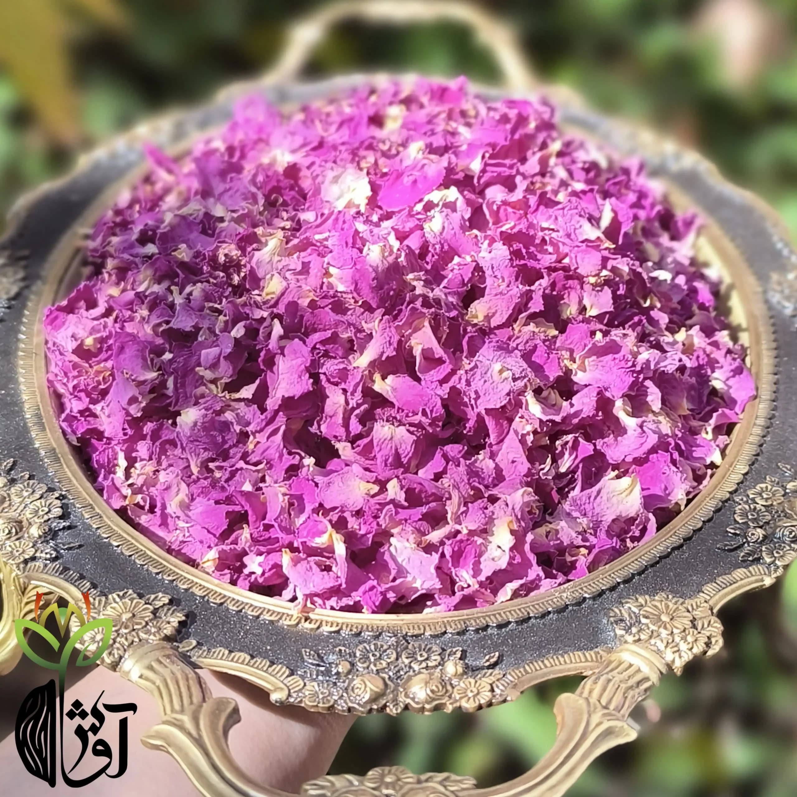 گلبرگ خشک گل محمدی — تصویر ۳