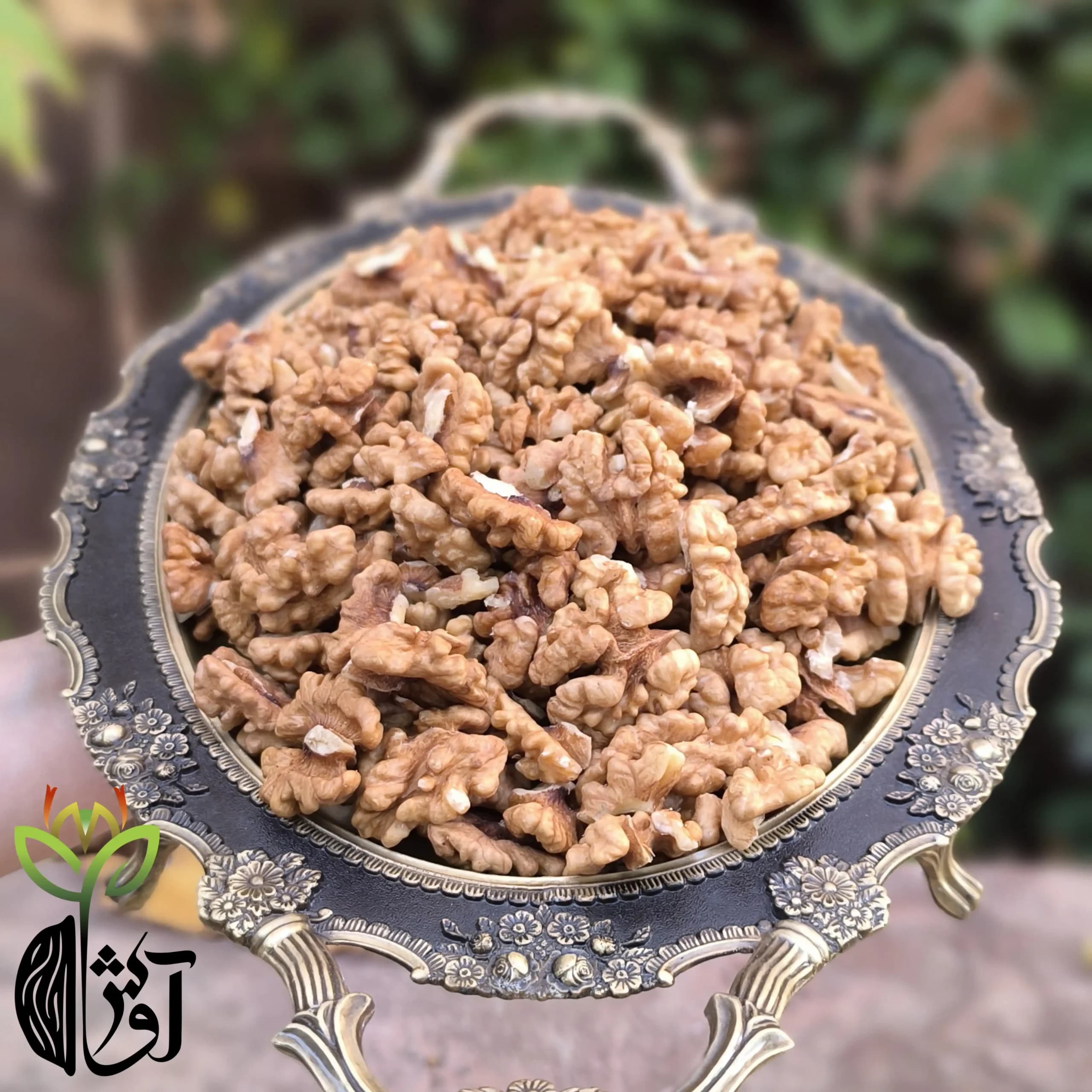 مغز گردوی ایرانی — تصویر ۶