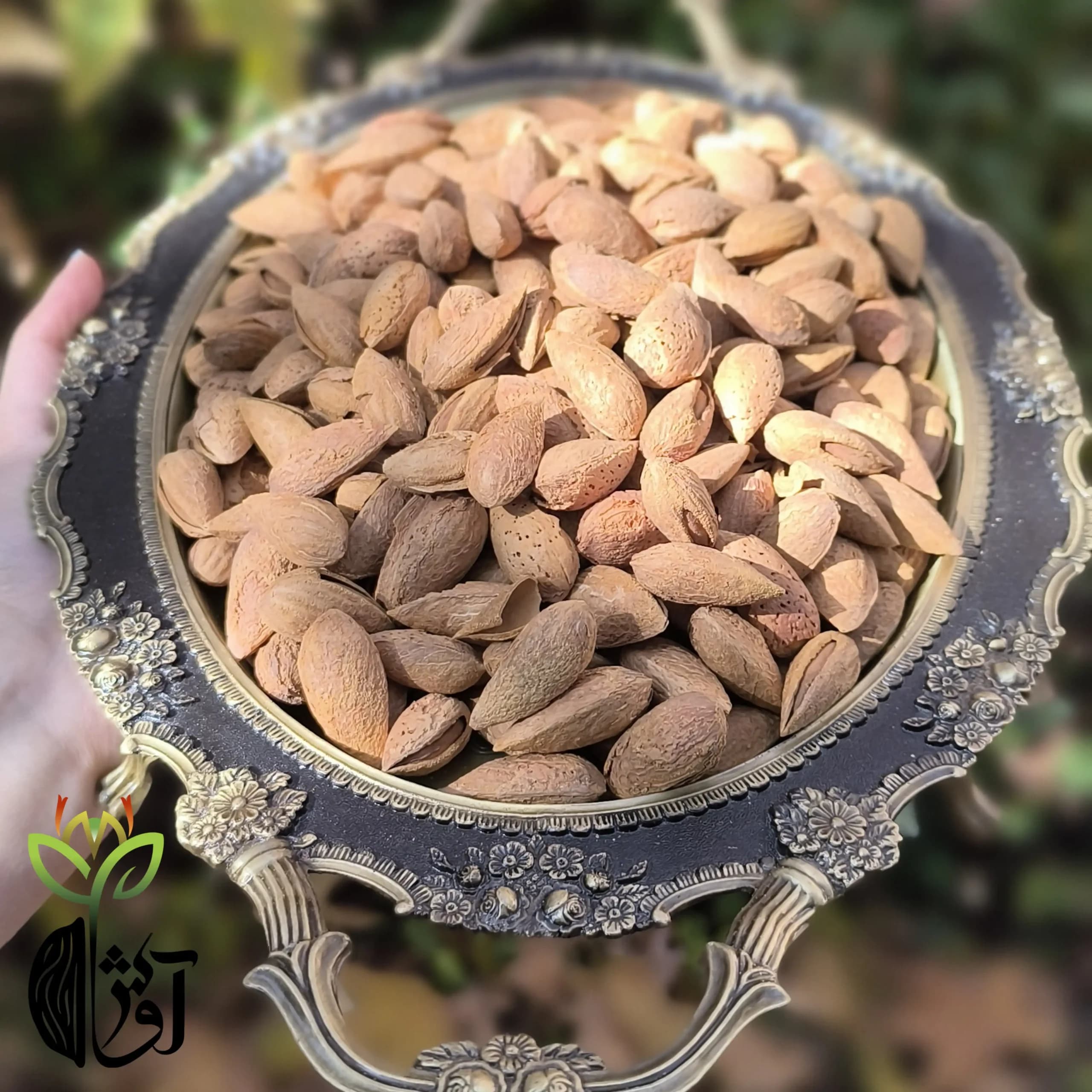 بادام کاغذی (منقا) خام