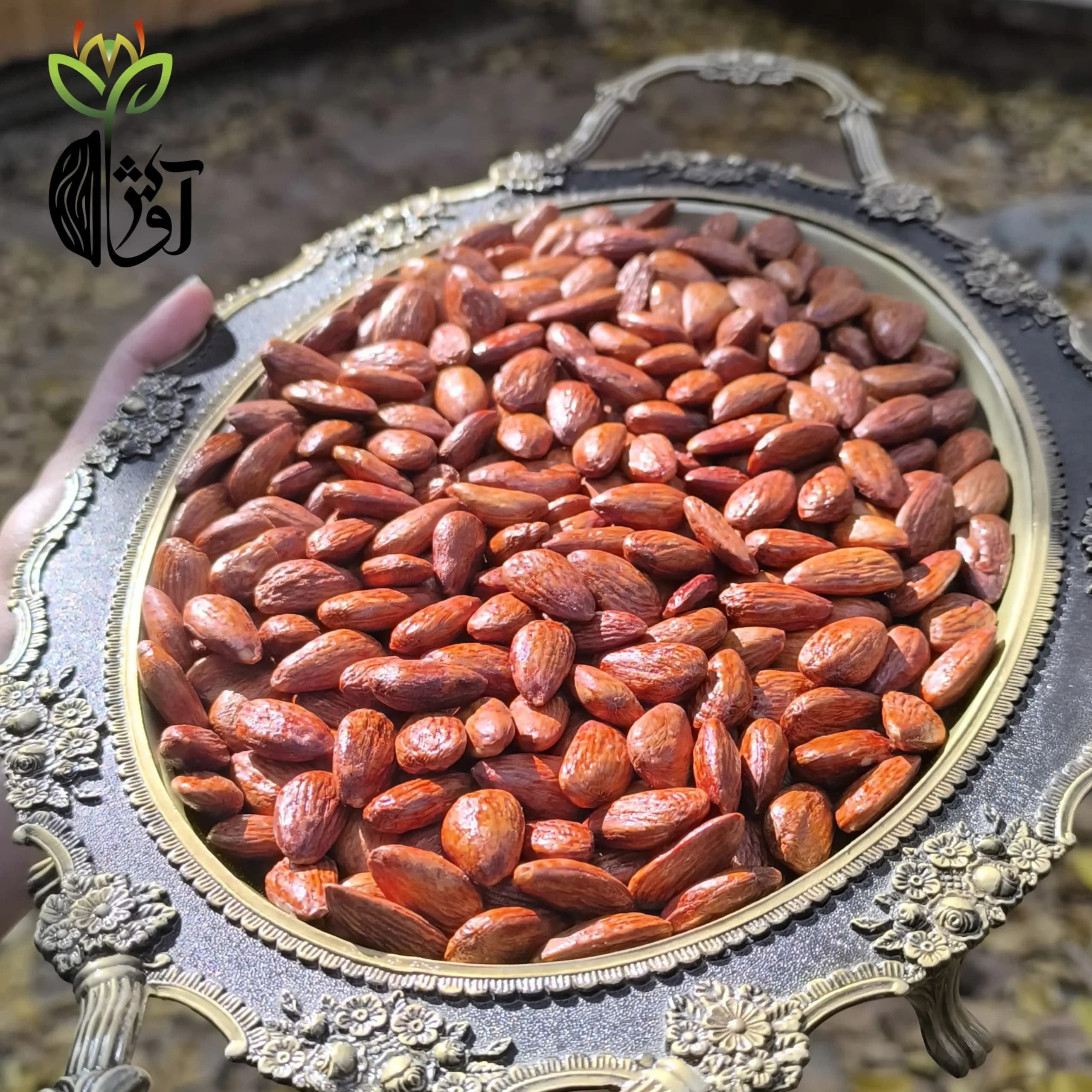 مغز بادام درختی لعابی درشت