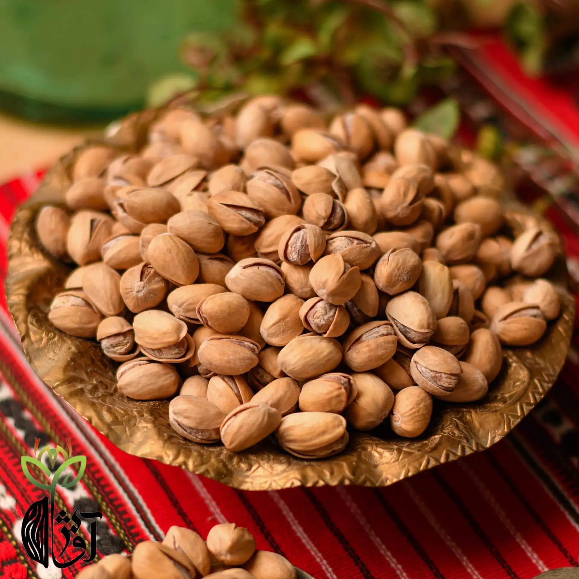 پسته فندقی (اوحدی) شور — تصویر ۳
