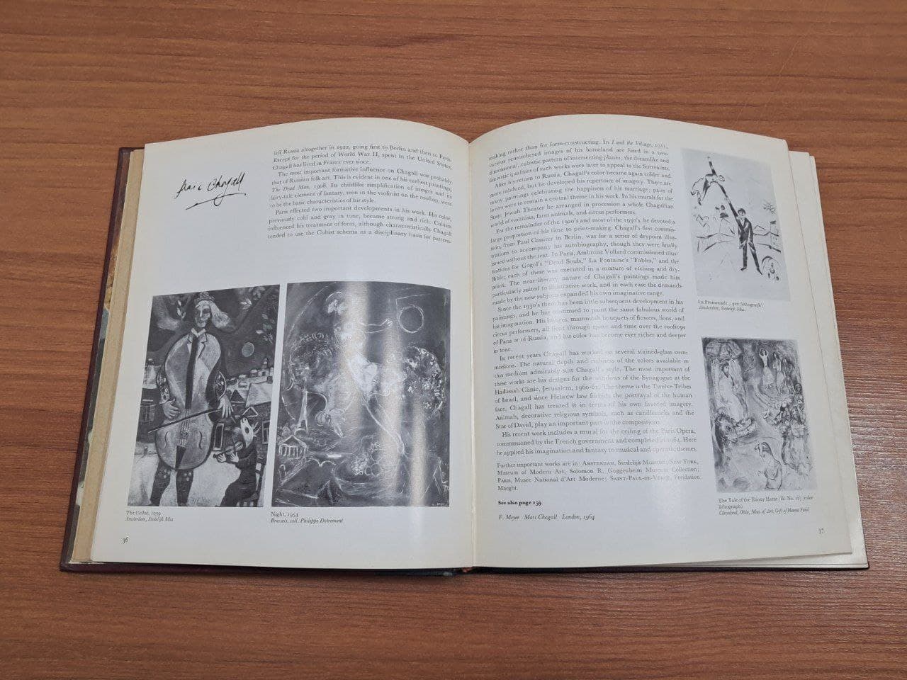 کتاب the Book Of Art 8 Modern Art (دست دوم) — تصویر ۷
