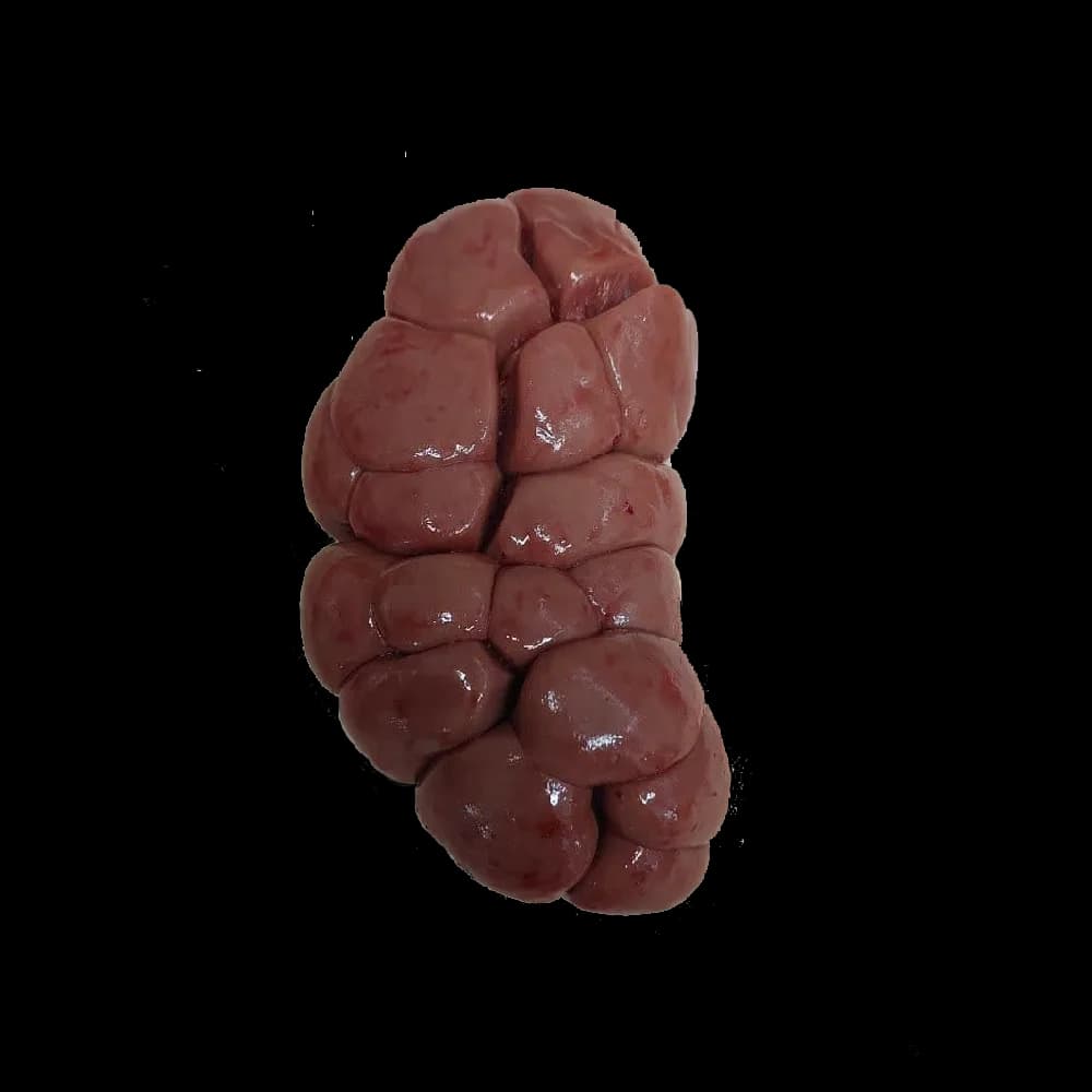 قلوه گوساله — تصویر ۲