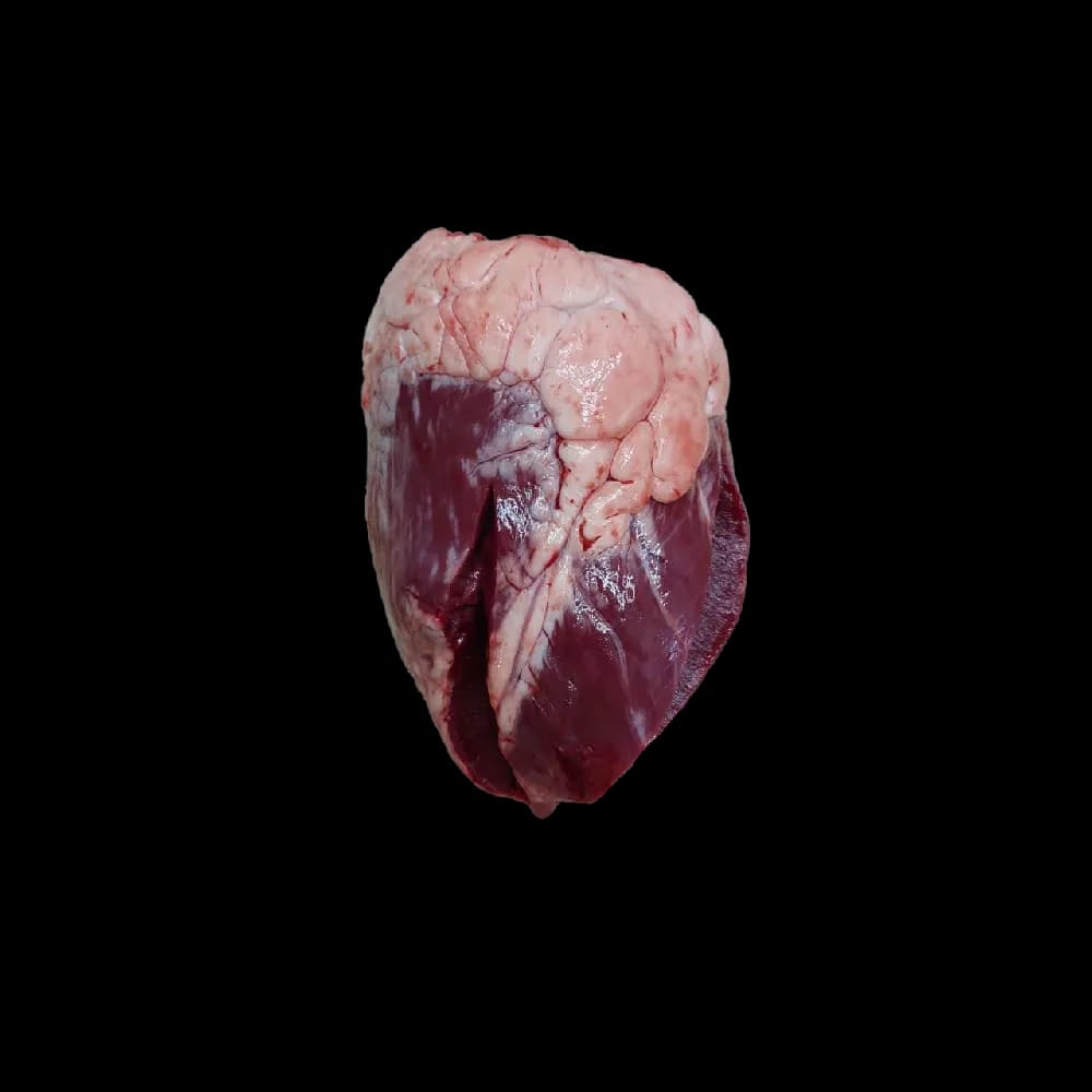 دل گوساله — تصویر ۲