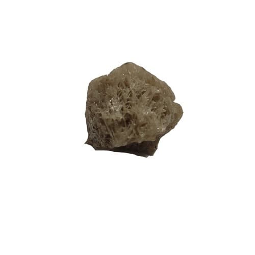 سروزیت CE110