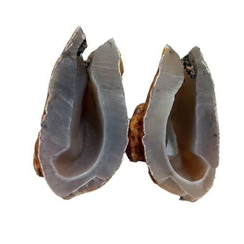 آگات AG119
