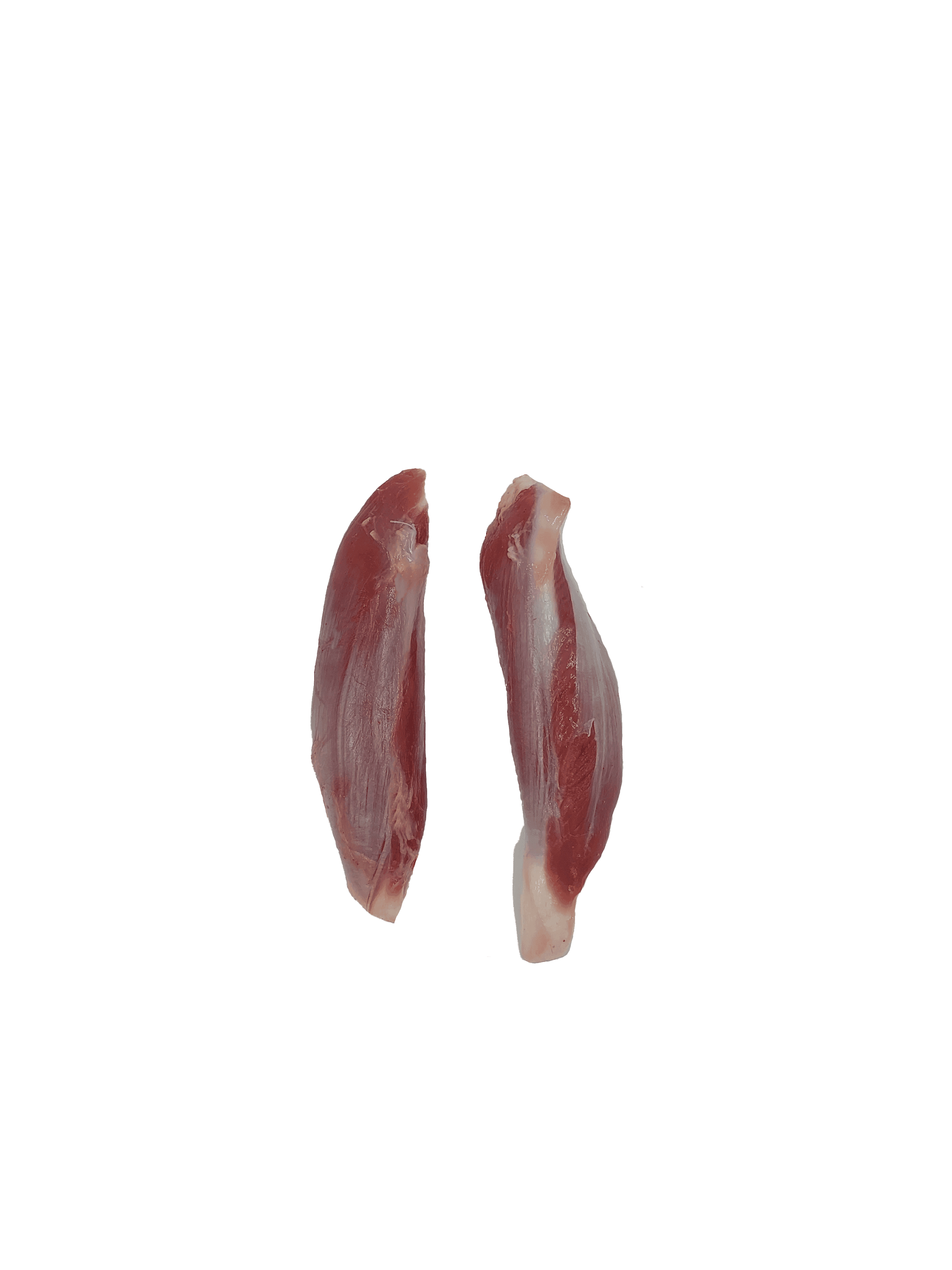 گل ماهیچه گوسفندی — تصویر ۳