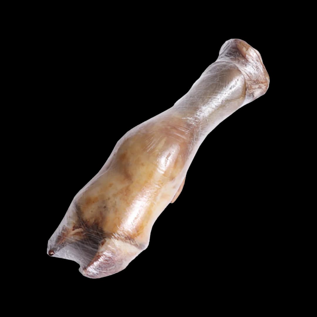 پاچه گوساله