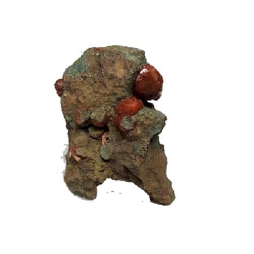 آنالسیم AN127 — تصویر ۲