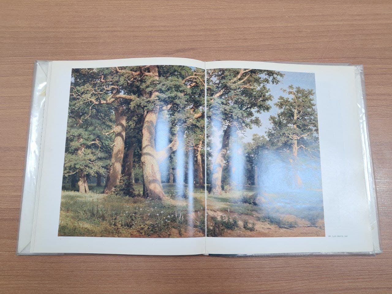 کتاب Shishkin (دست دوم) — تصویر ۲