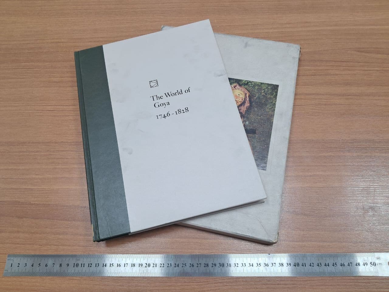 کتاب the World Of Goya 1746-1818 (دست دوم) — تصویر ۸