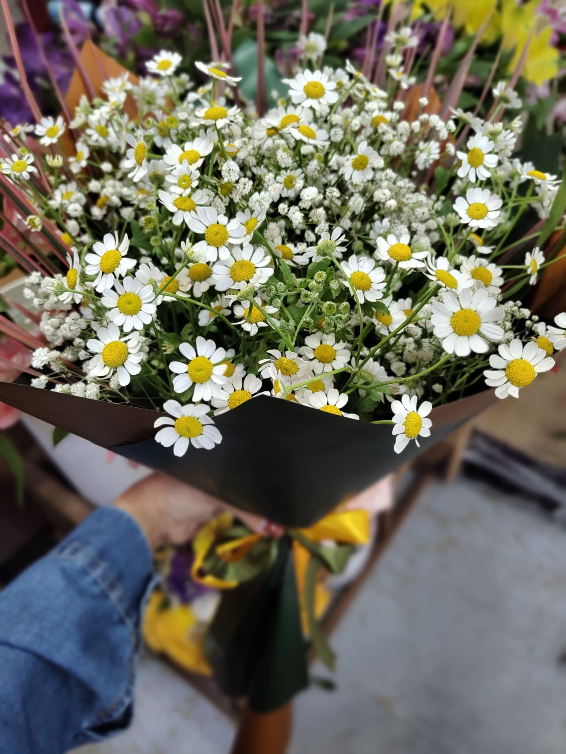 دسته گل بابونه جدید – اصفهان — تصویر ۷