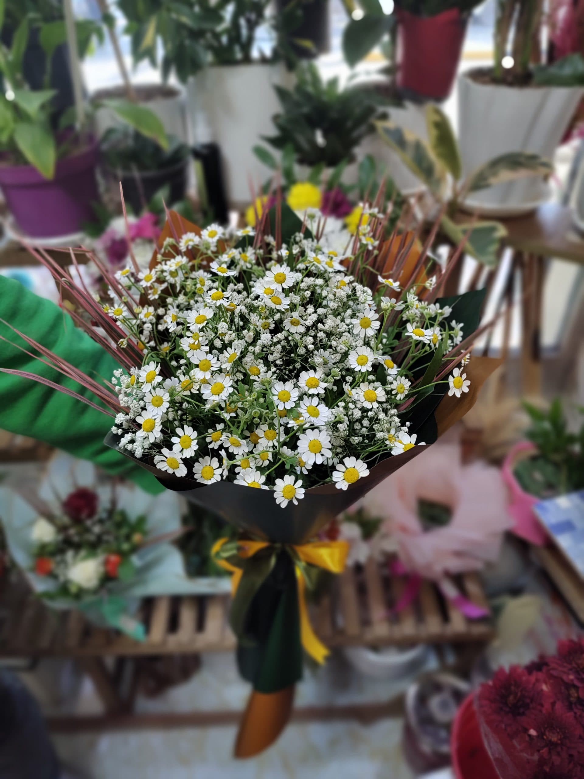 دسته گل بابونه جدید – اصفهان — تصویر ۱۱