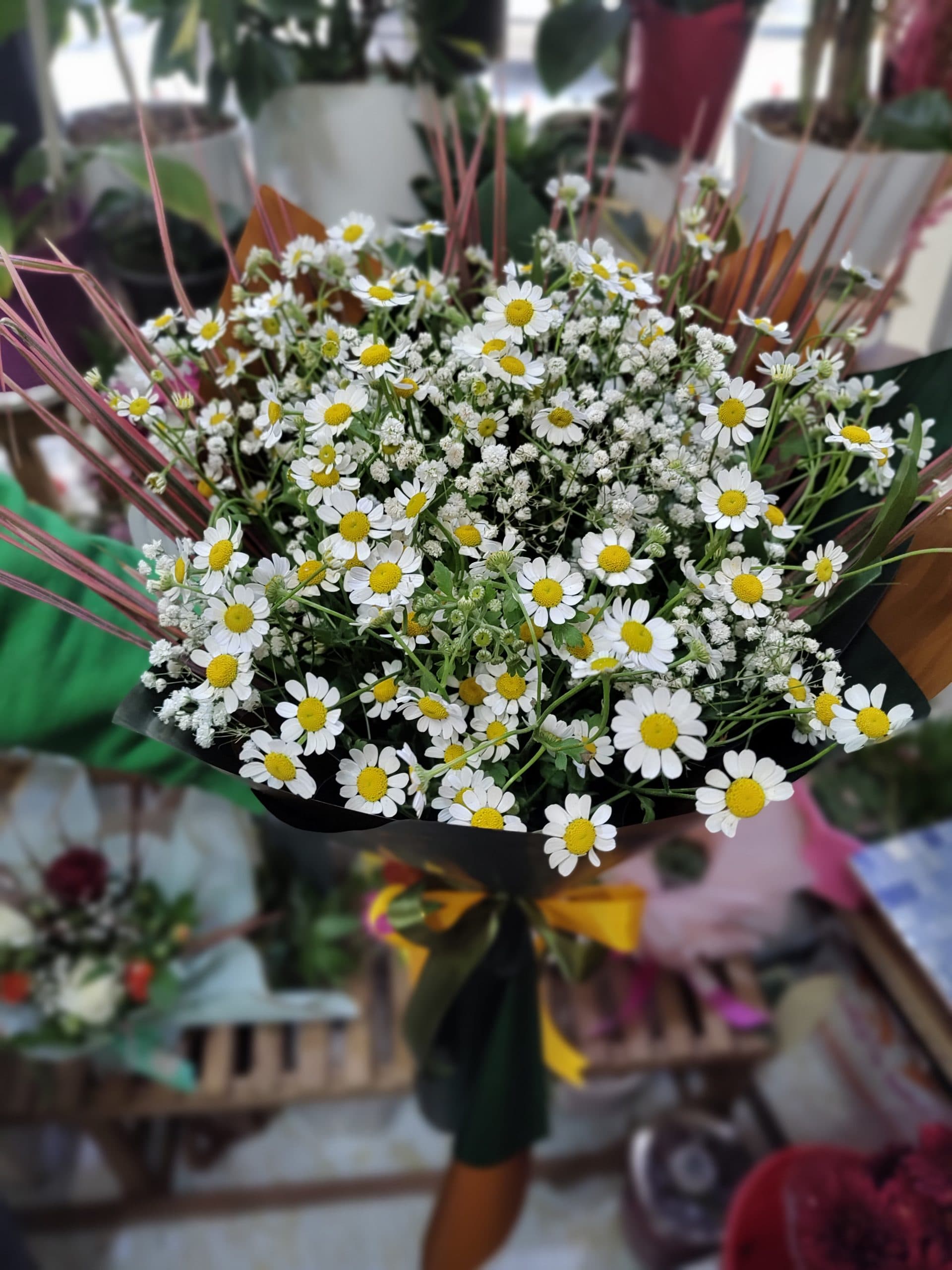 دسته گل بابونه جدید – اصفهان — تصویر ۶