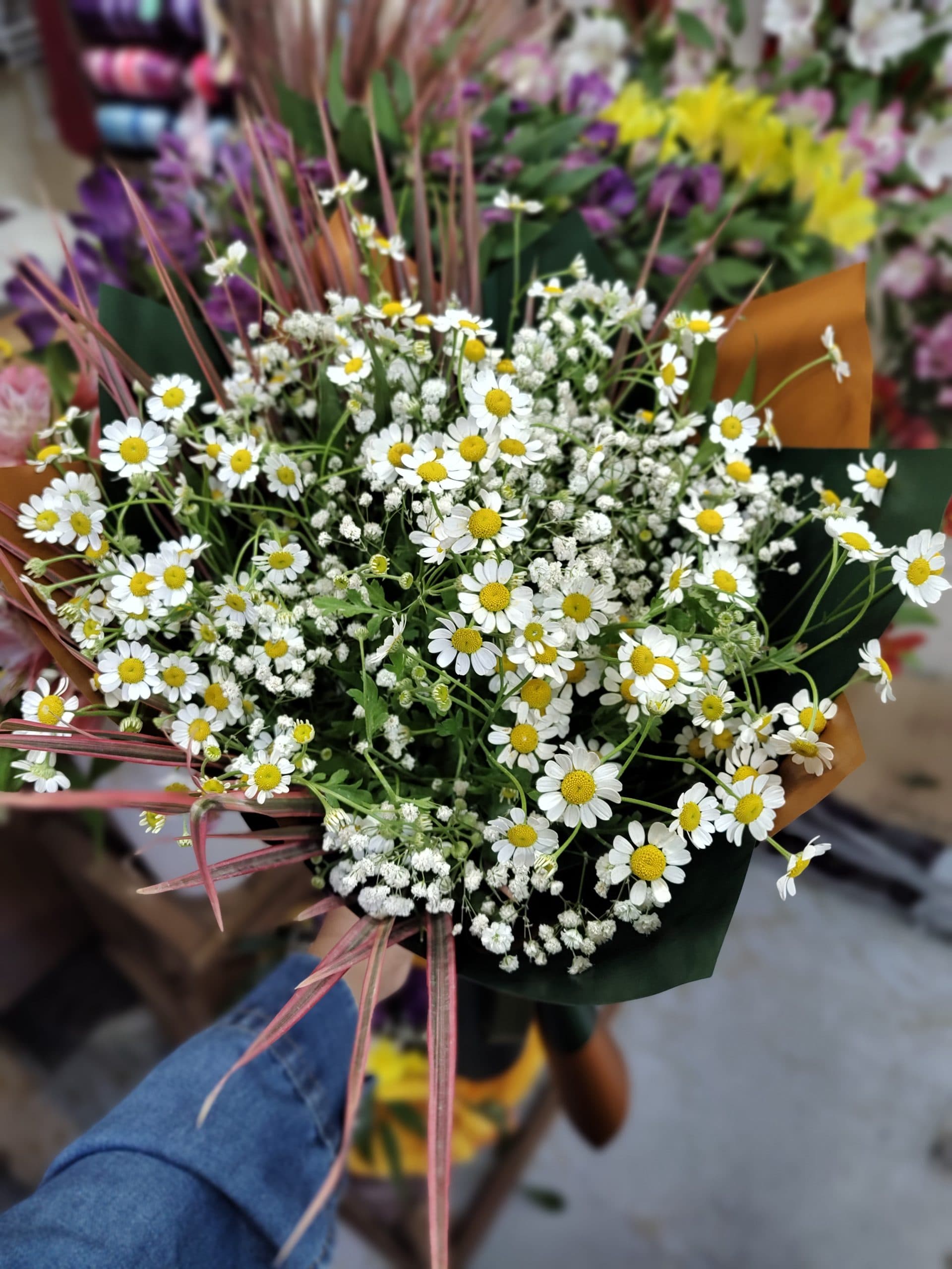 دسته گل بابونه جدید – اصفهان — تصویر ۴