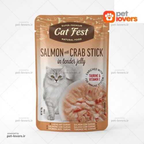 پوچ گربه کت فست Cat Fest طعم سالمون و استیک خرچنگ وزن 70 گرم — تصویر ۲