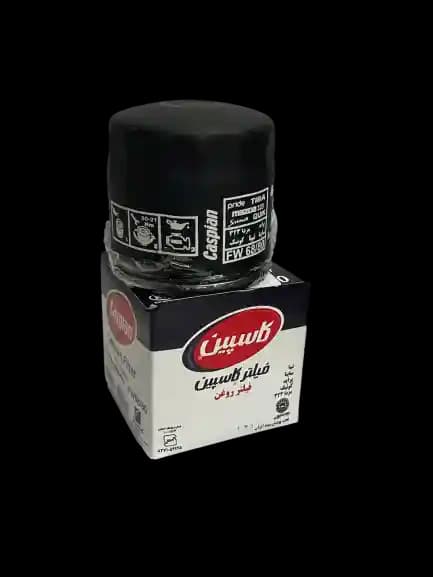 فیلتر روغن کوییک کاسپین کد fw68